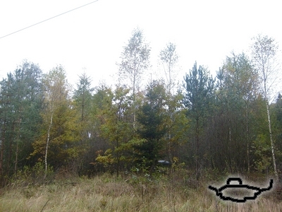 tl344 0910 01.jpg